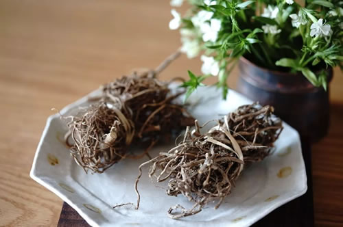 艾根_艾草根有什么功效