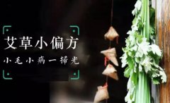 艾草神奇功效:艾草小偏方毛病一扫光