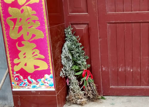 端午节挂艾草图片