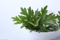 妙用艾草功效养生