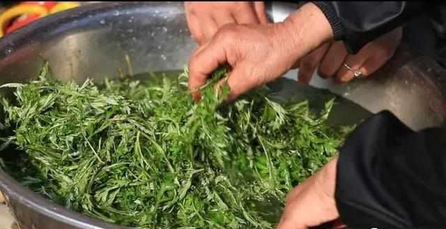 艾草图片