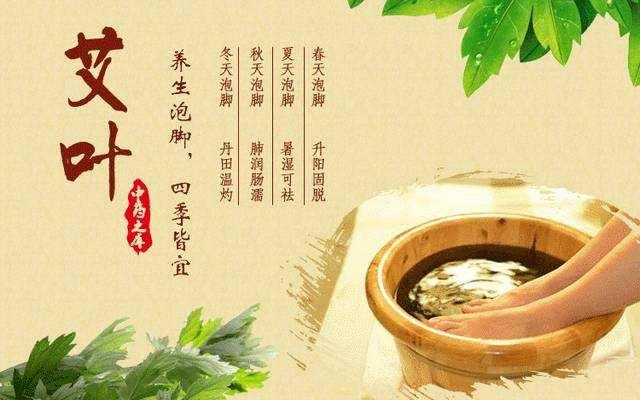 艾叶的用途