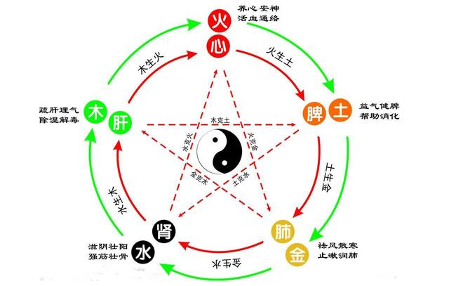 五行对五脏,心肝脾肺肾之间联系!