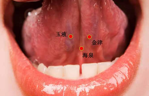 玉液穴的准确穴位图和作用