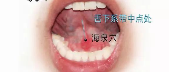 海泉穴位的作用