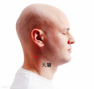 天牗穴的准确穴位图和作用