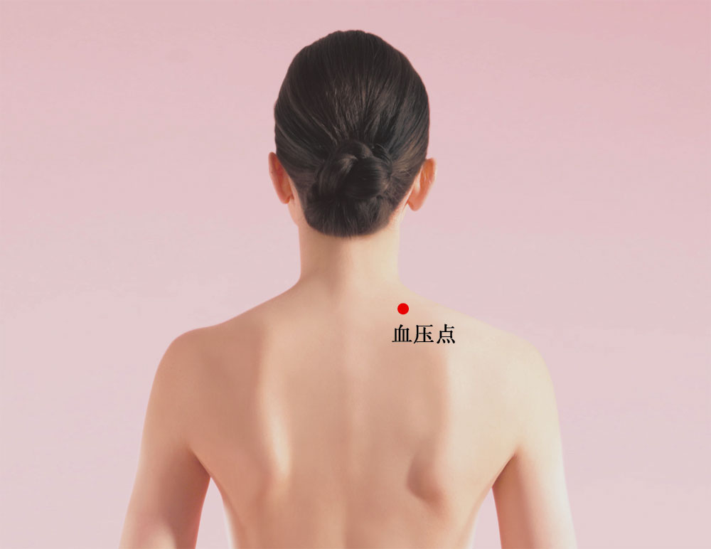 血压点穴位准确位置图 