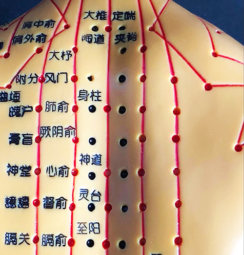 背部穴位