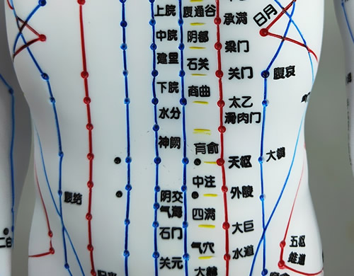 腹部穴位图艾灸按摩全集