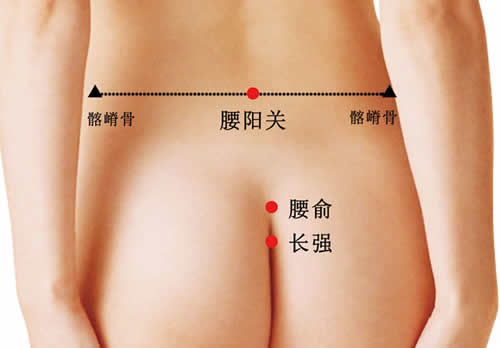 腰俞穴的准确穴位图
