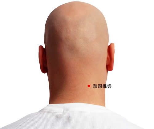 颈四椎旁穴的准确穴位图及功效作用