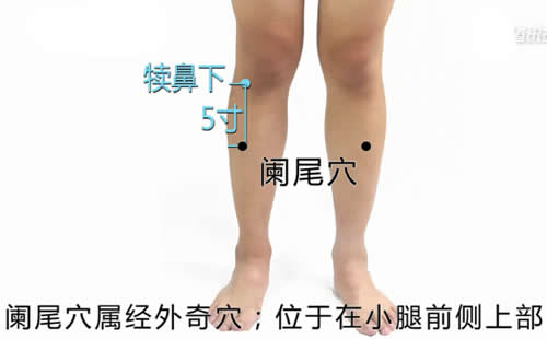 阑尾穴