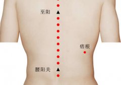 <b>痞根穴的作用及在哪里</b>