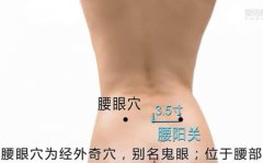 <b>腰眼疼是怎么回事位置图及功效</b>