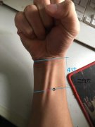 二白穴的准确位置及功效作用