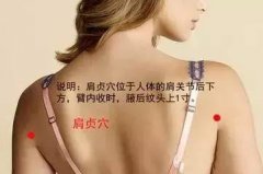 <b>肩贞穴位位置图及功效作用</b>