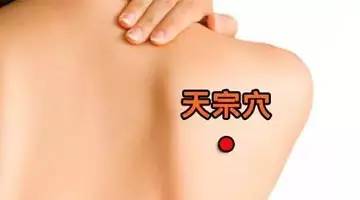 天宗穴的准确位置图