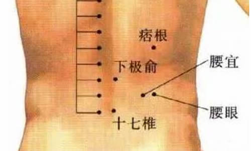 十七椎穴位的作用