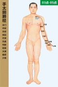 <b>手太阴肺经</b>