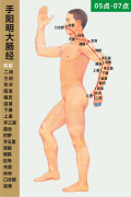 <b>手阳明大肠经</b>