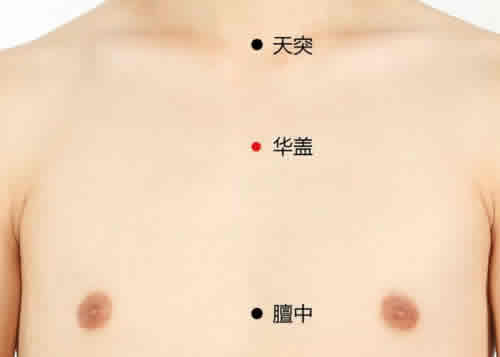 华盖穴位准确穴位图及作用