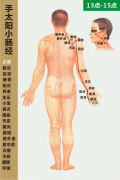 <b>手太阳小肠经</b>