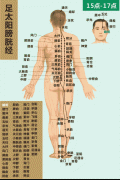 <b>足太阳膀胱经</b>