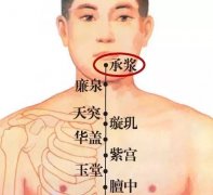 <b>承浆穴的准确穴位图及作用</b>