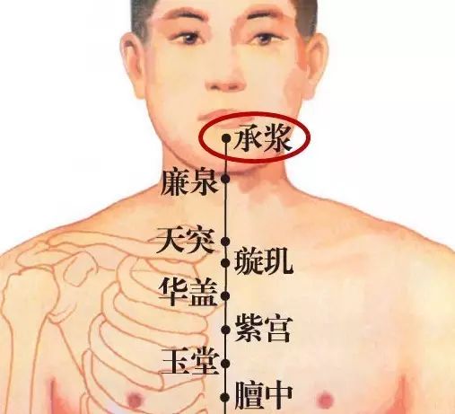 承浆穴的准确穴位图及作用