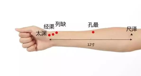 尺泽穴的准确位置图