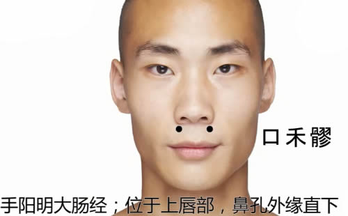 口禾髎的准确穴位图及作用