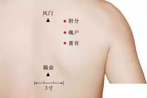 魄户穴的准确位置图