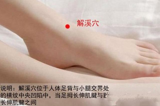 解溪穴的准确穴位图及作用