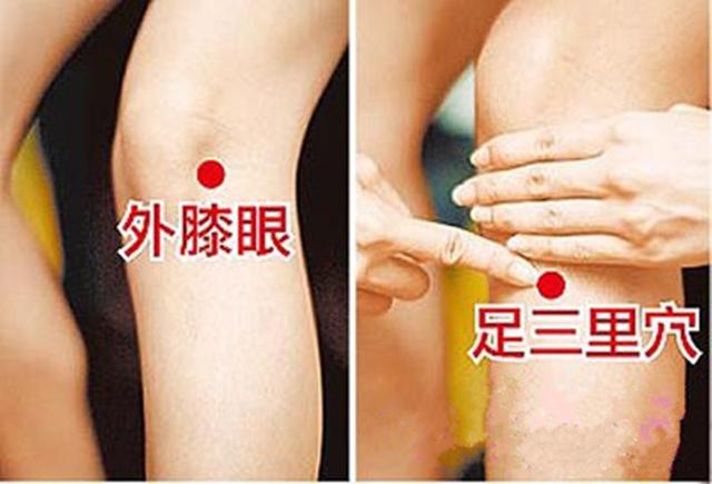 足三里的准确位置图及功效作用