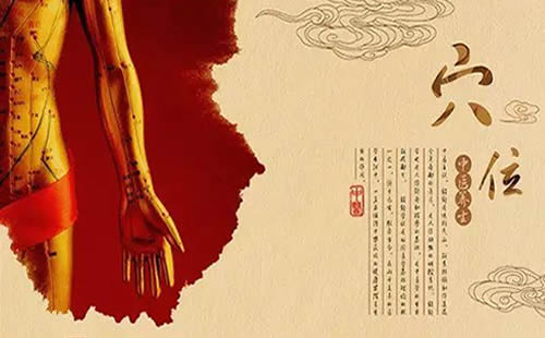十二经络
