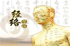人体十二经络基础入门总结