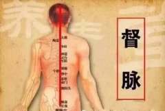 十四经脉穴位分寸歌