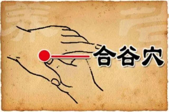 合谷穴
