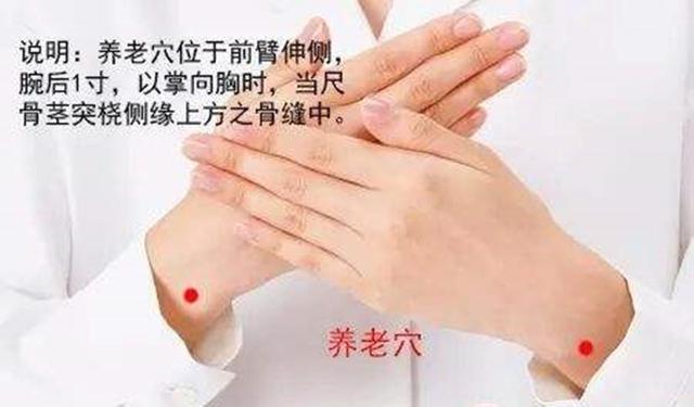 养老穴
