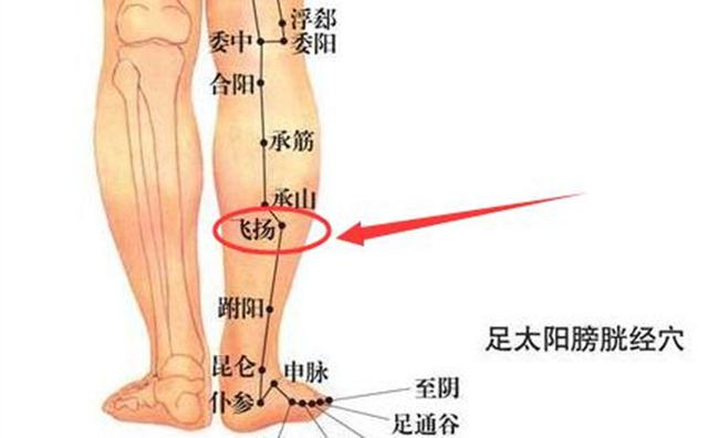 飞扬穴