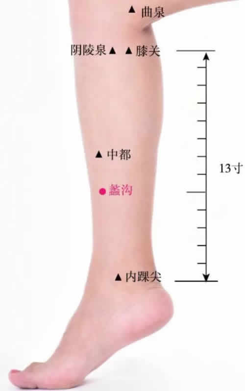 蠡沟穴的准确穴位图