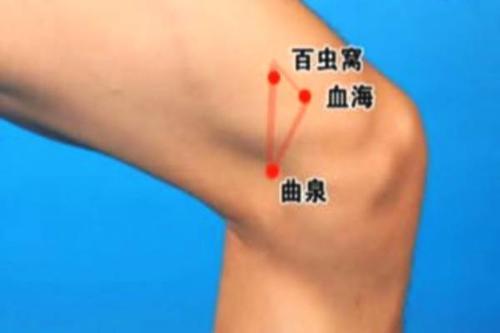 曲泉穴