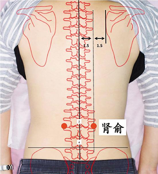 艾灸穴位