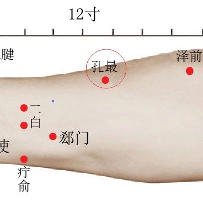 孔最穴的准确位置图及作用