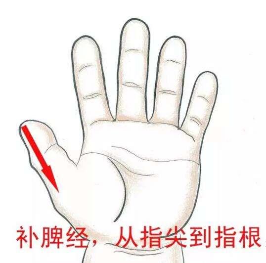 人参健脾丸