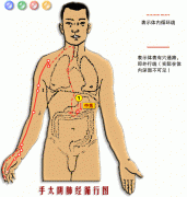 十二经络图动画演示及养生攻略