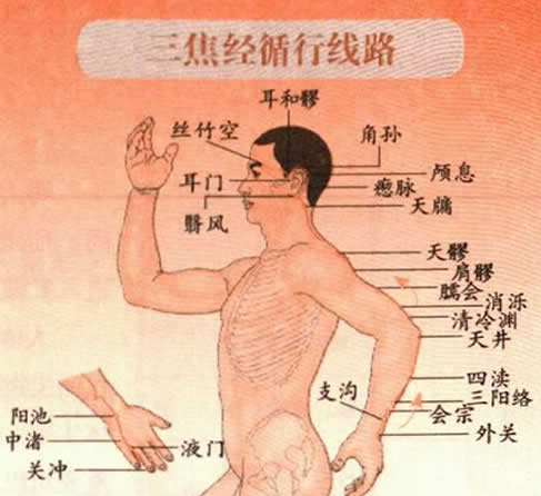 三焦经穴位图