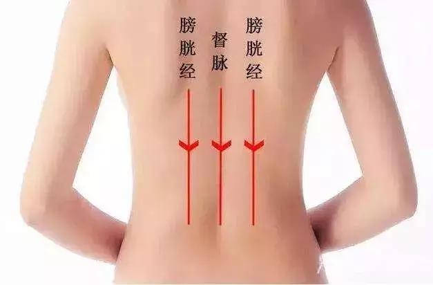 膀胱经的作用,打通膀胱经调理身体疾病!