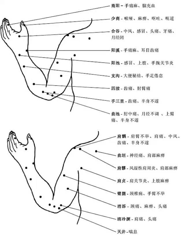 人体上肢穴位