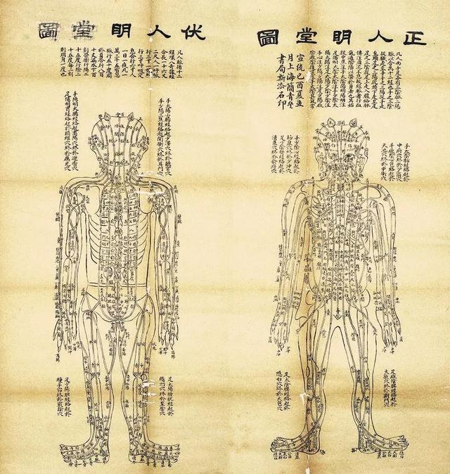 十二经脉